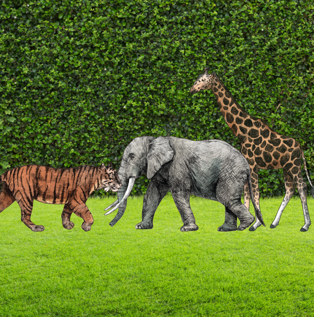 Realistic Safari Animal Trio Cut Outs