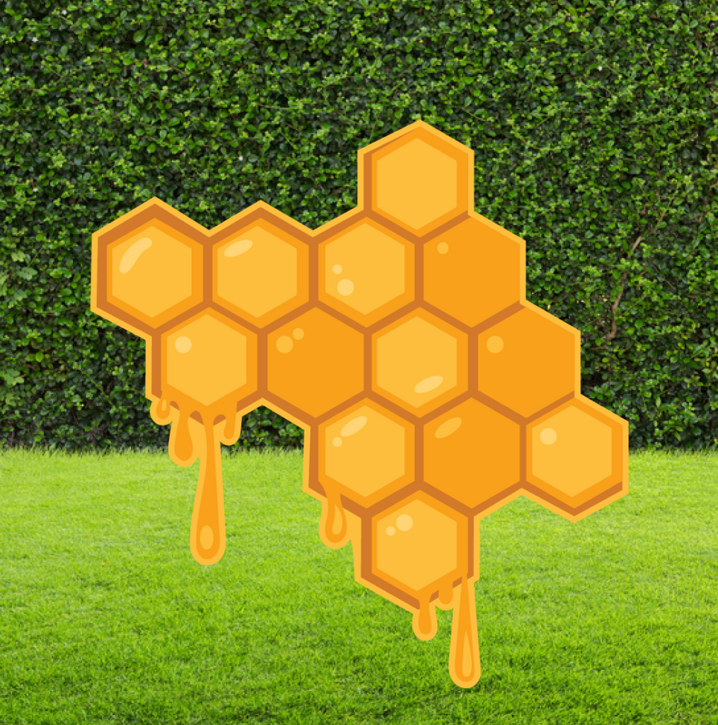 Honeycomb Party Prop Cut Out